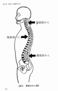 4DS 背骨のカーブ　t02200342_0225035012398698880.gif